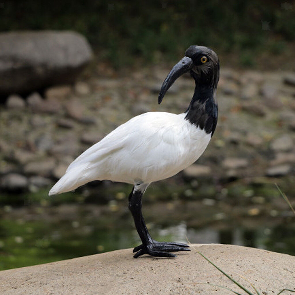 Artificial Black Crested Ibis Realistic Bird Statue Home Garden Ornament